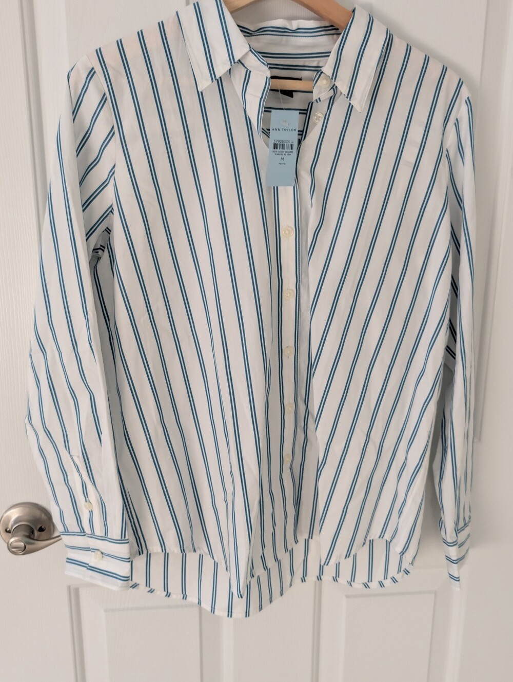 Button Up Blue Pin-striped Blouse